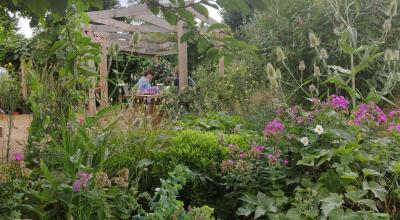 A woman standing in a garden, surrounded by bushes, plants and flowers