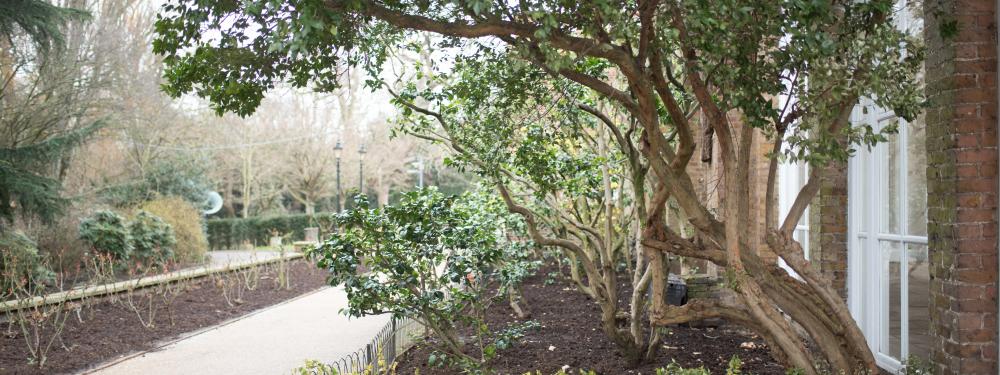 Orangery_HollandPark_March2018_012