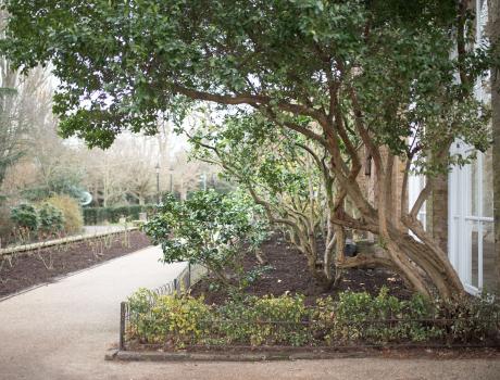 Orangery_HollandPark_March2018_012